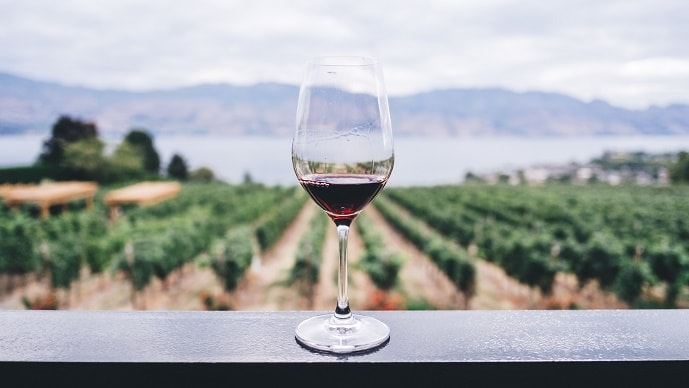 葡萄の花言葉の由来はワイン
